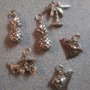 Charleston, SC themed silver charms - 7
